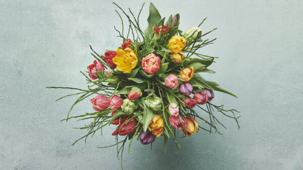 Sæsonens Blomst